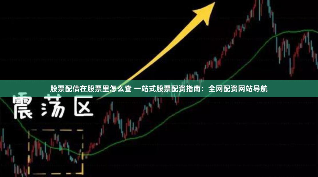 股票配债在股票里怎么查 一站式股票配资指南:全网配资网站导航